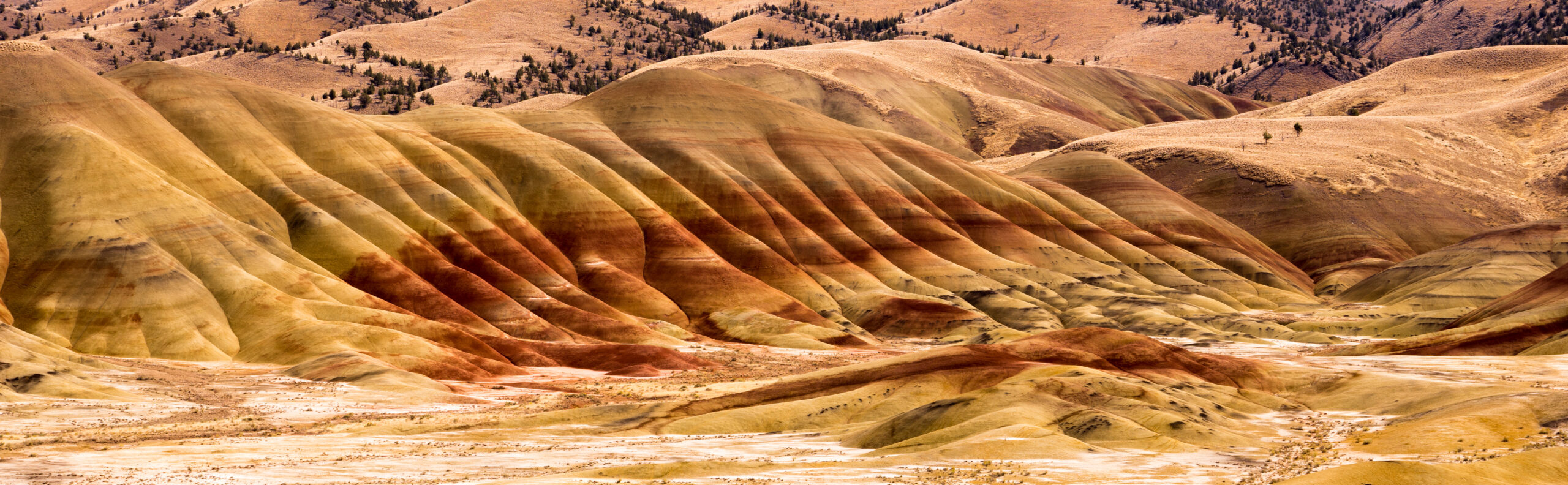 Landscape Imagery