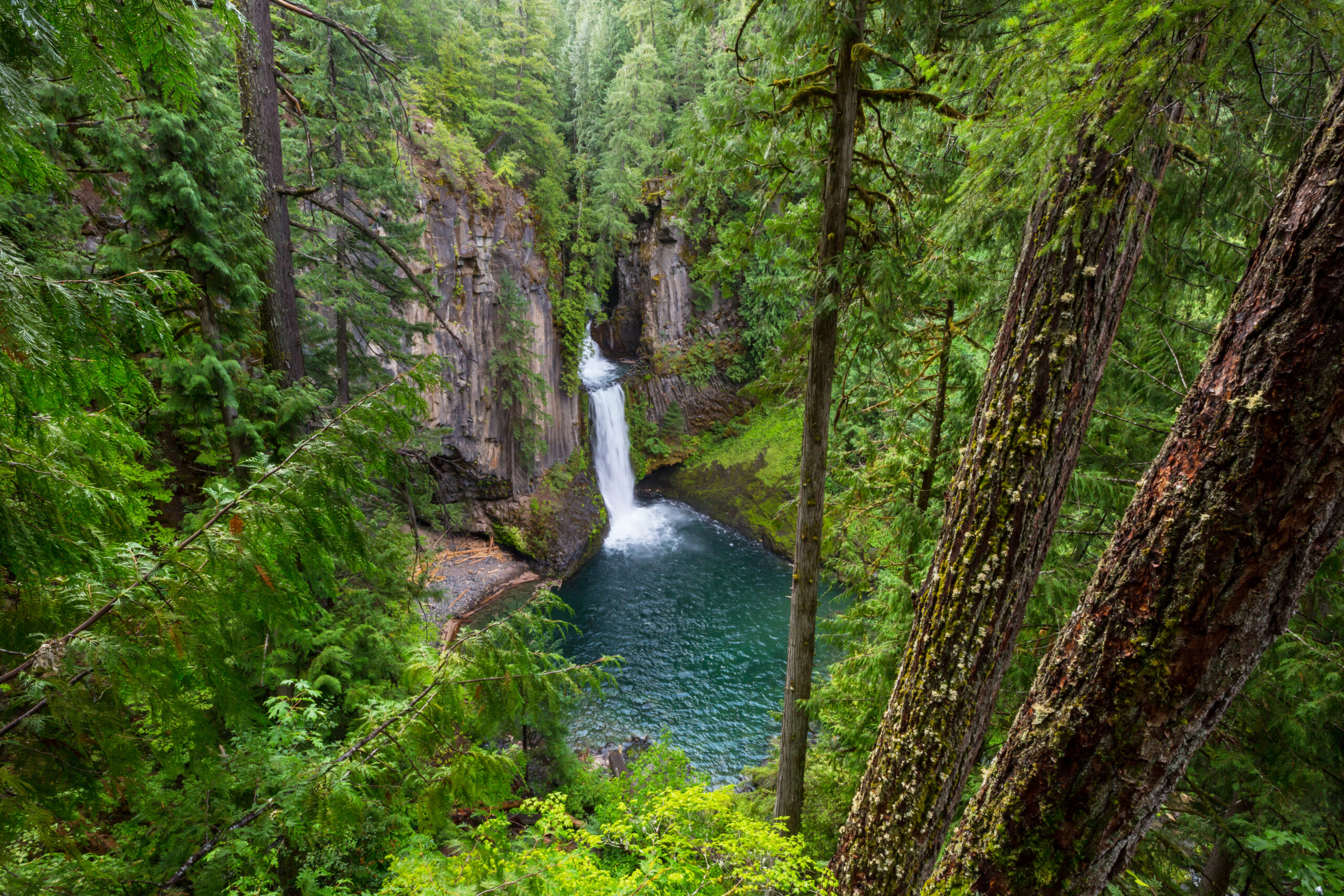 Landscape Imagery